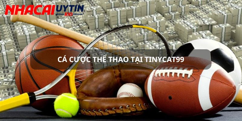 Tinycat99 - Trang Giải Trí Online Hàng Đầu Đẳng Cấp Quốc Tế 2 Cá cược thể thao cùng tỷ lệ thắng tuyệt đối tại Tinycat99